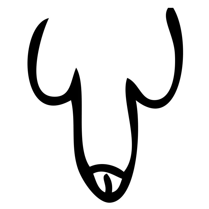 Penis