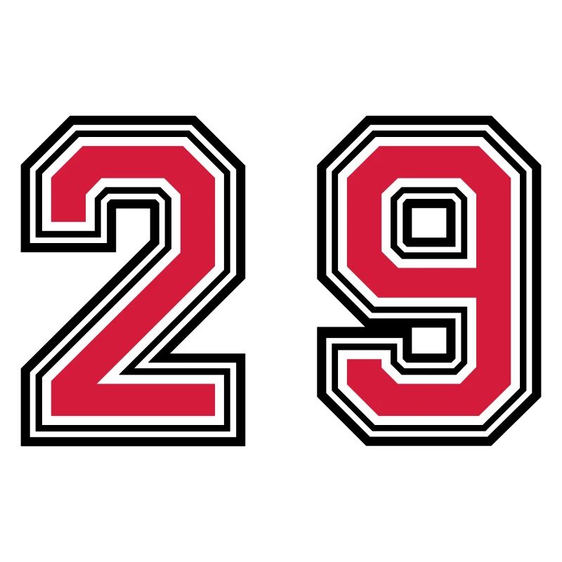 29 Symbole numérique