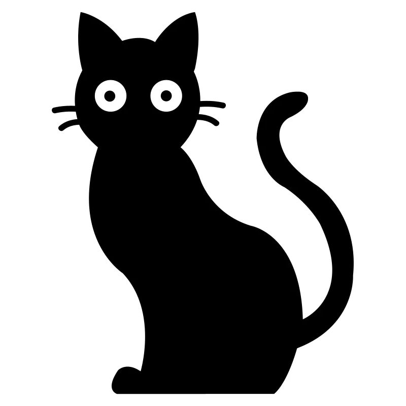 Cat Black Cat