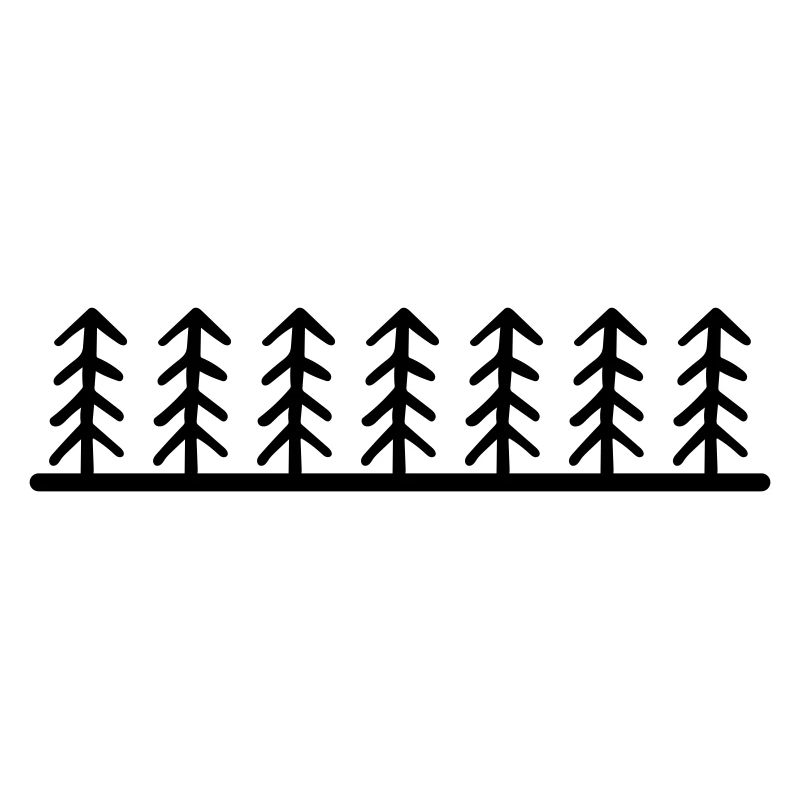 Forest Trees Landscape