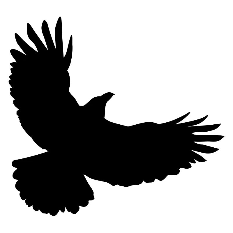 A raven flies up
