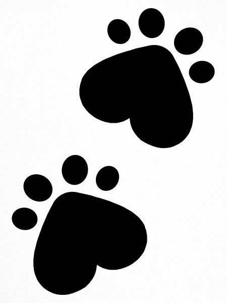 Paws