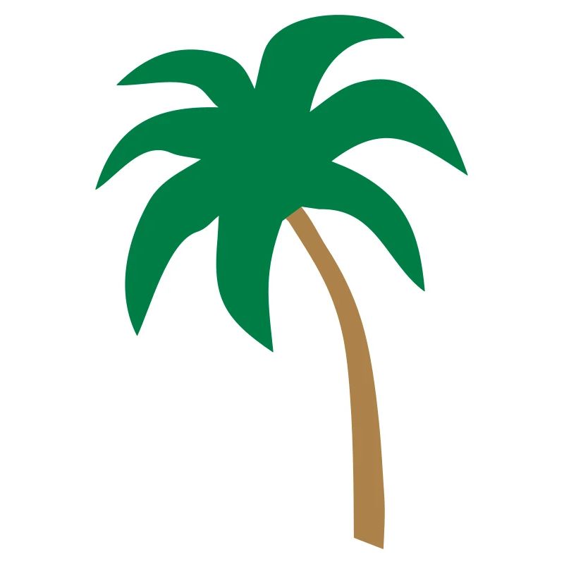 Palm tree