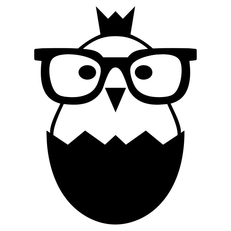 Chick Glasses Chicken Nerd Egg Gift