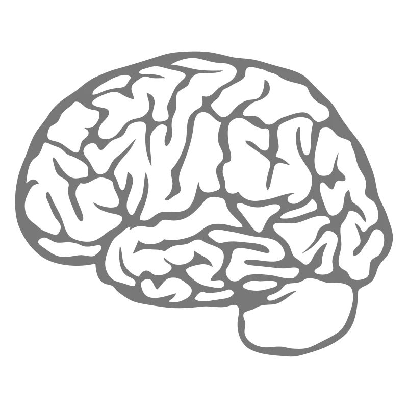 brain brain 23030