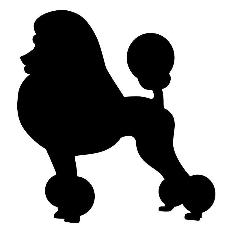 Poodle dog