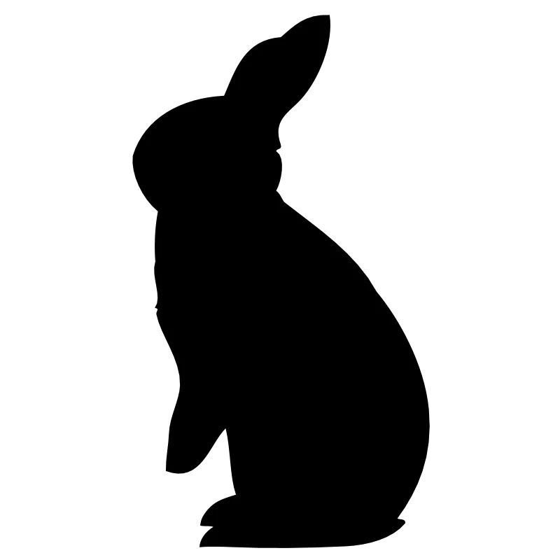 Rex rabbit rabbit bunny breed long-eared rodents