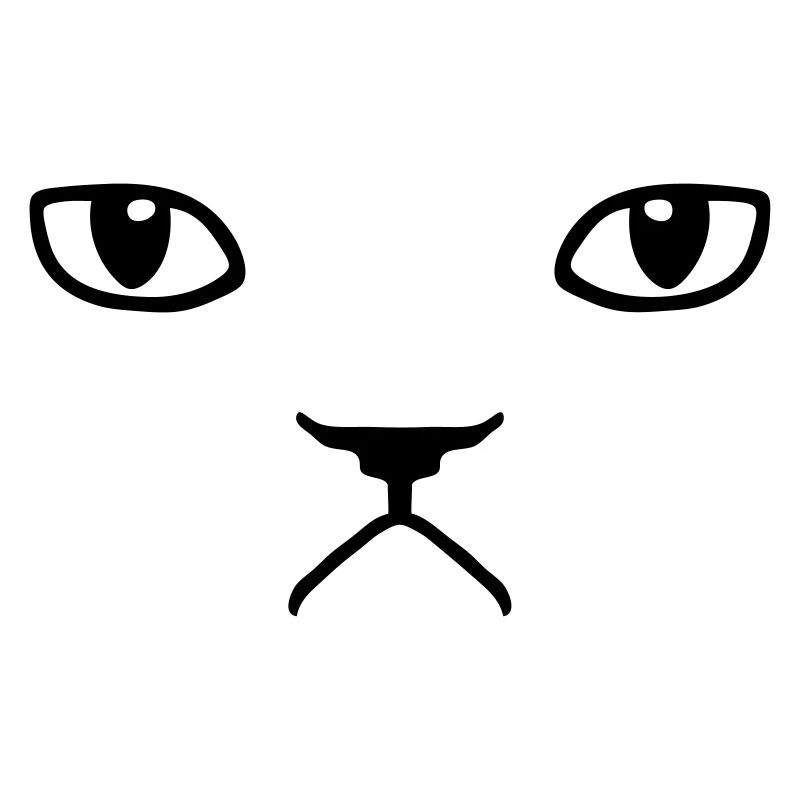 chat pas content grumpy kitty cat
