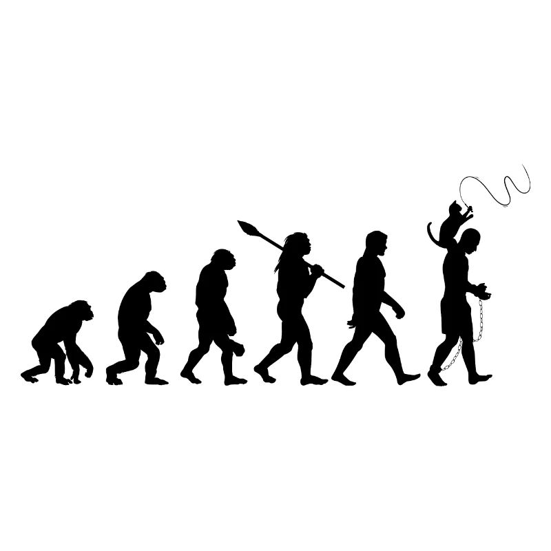 L'évolution du chat