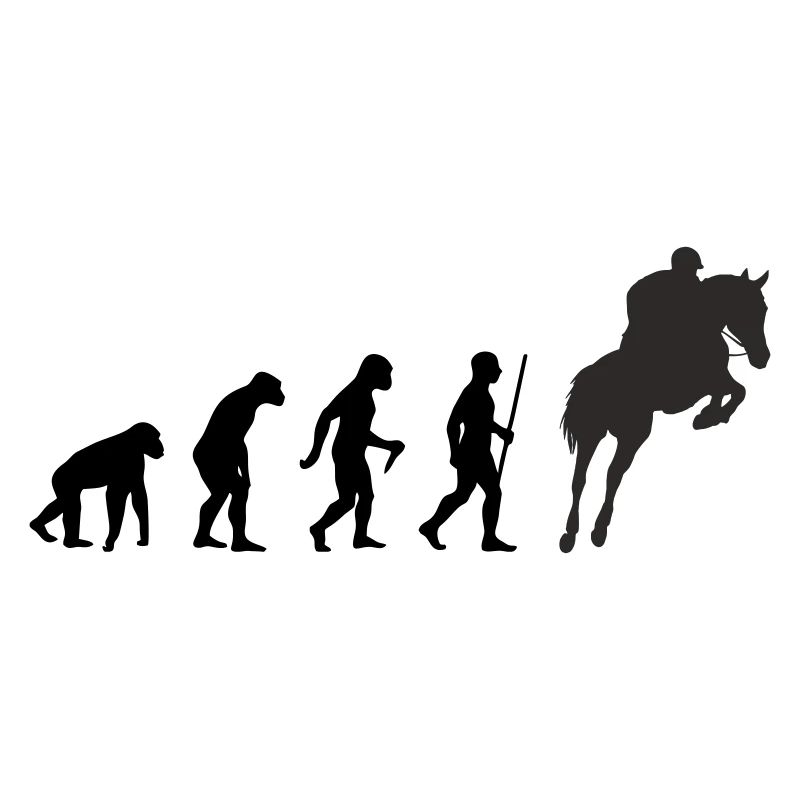 Evolution Springreiter