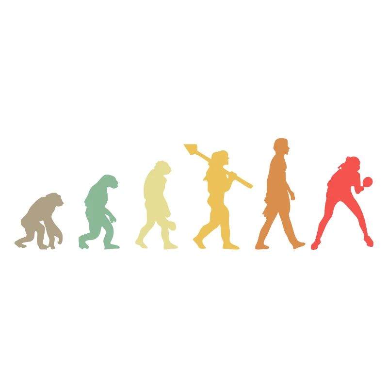 Évolution du tennis de table