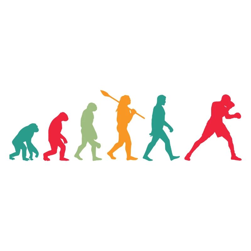 Boxing Evolution