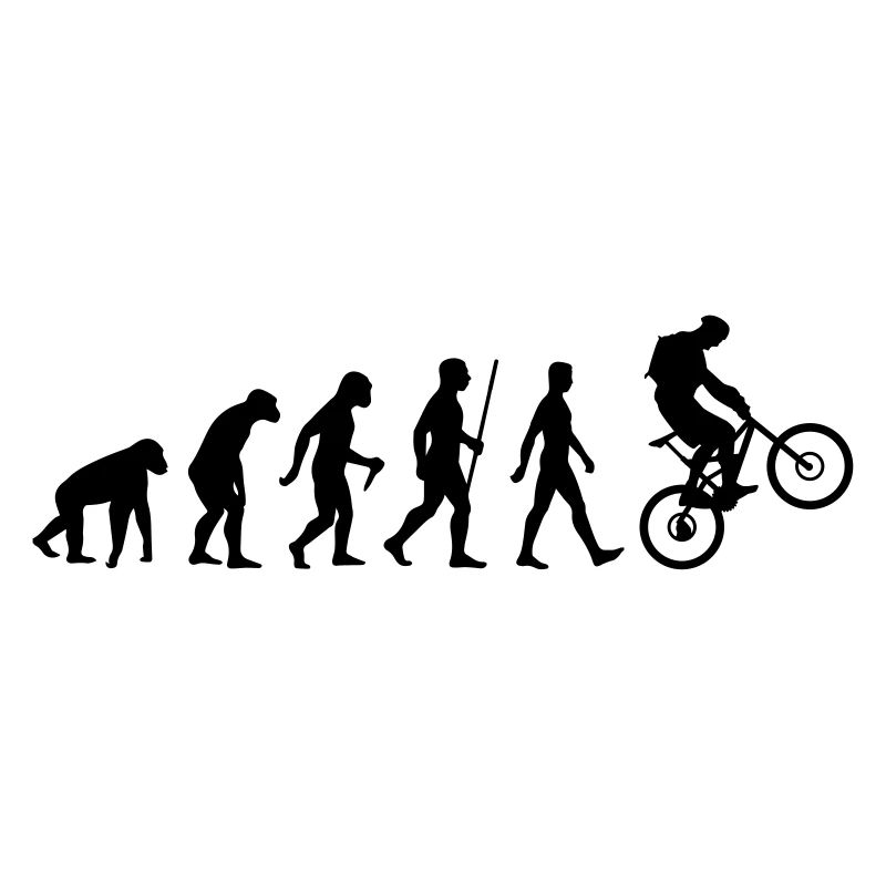 Evolution Mountainbike