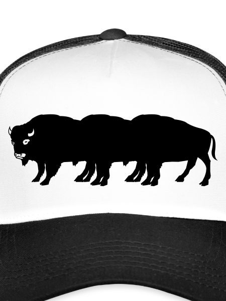 bisons
