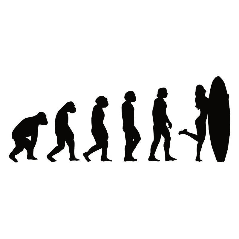 Surfer Surfboard Surfing Evolution Surfing