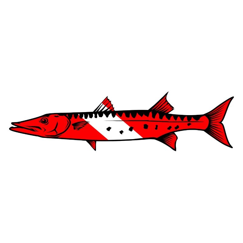 Barracuda by Scuba.Style