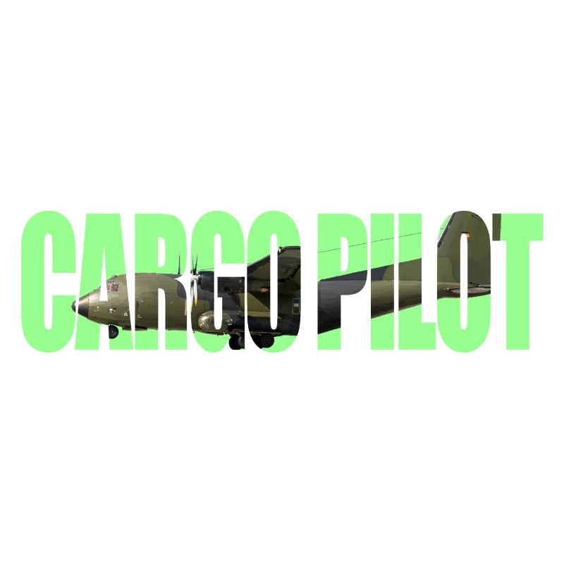 Cargo pilot C-160