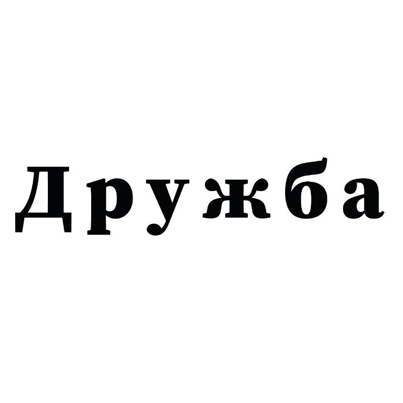 Friendship - дружба Statement Print
