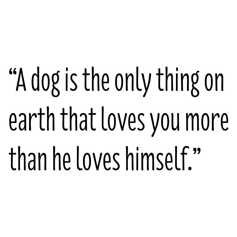 Dog Lovers