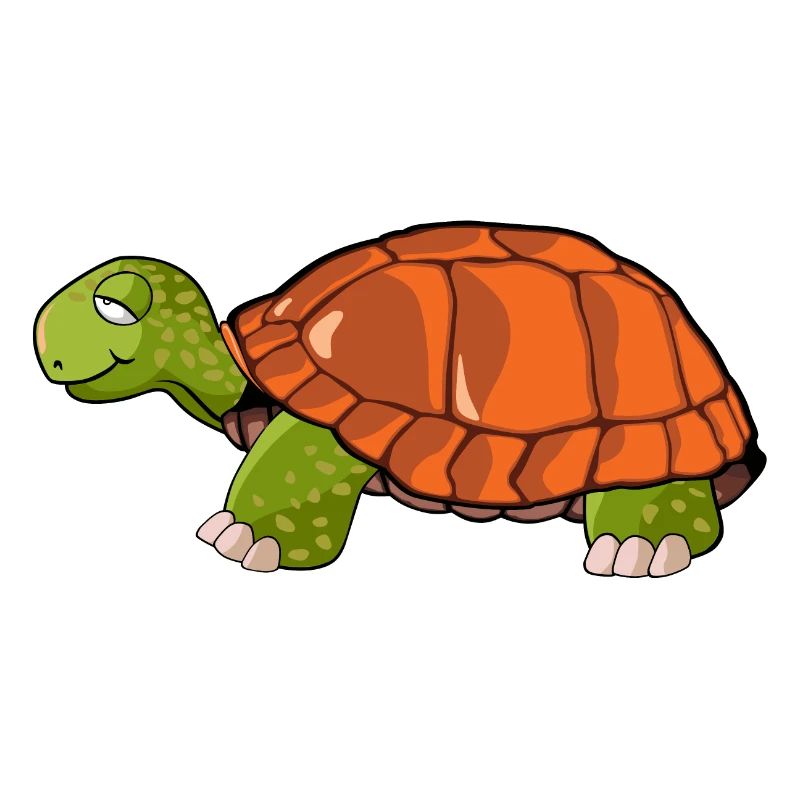 turtle drawing
