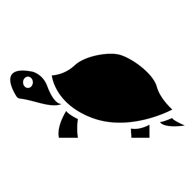 I am a slow walker, but I never walk back