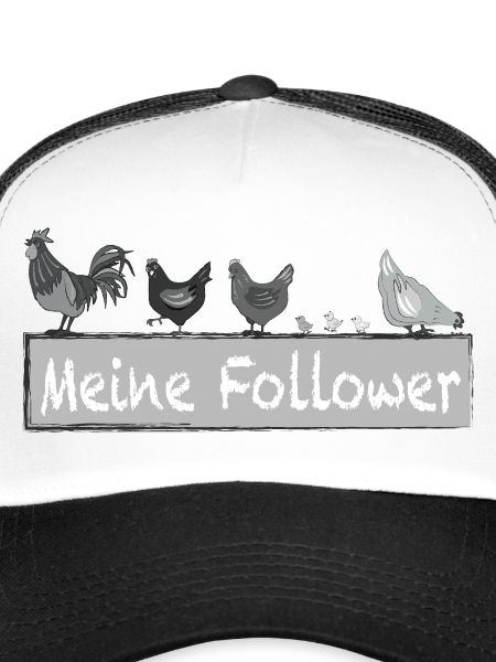 Meine Follower - Hühner Hahn