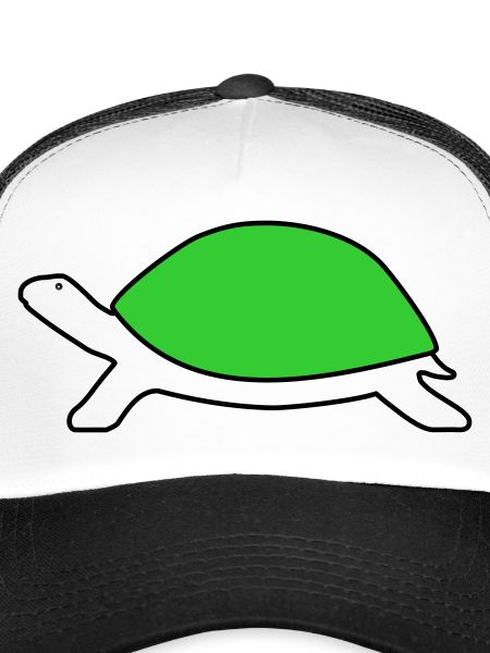 Tortue