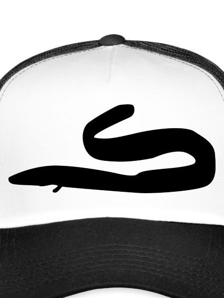 Aal