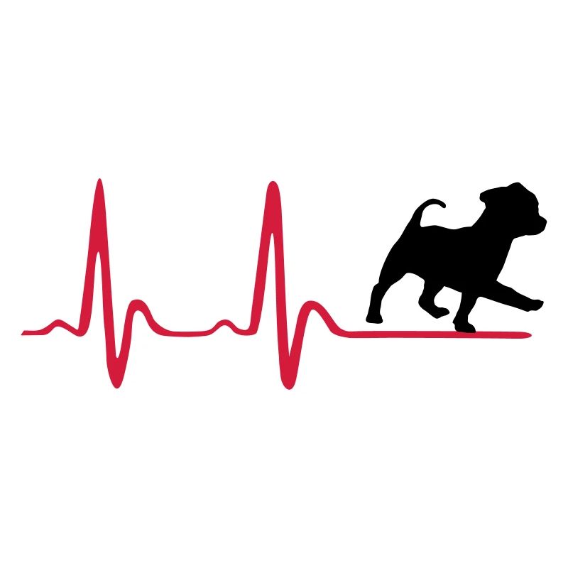 Herzschlag & süßer Hund
