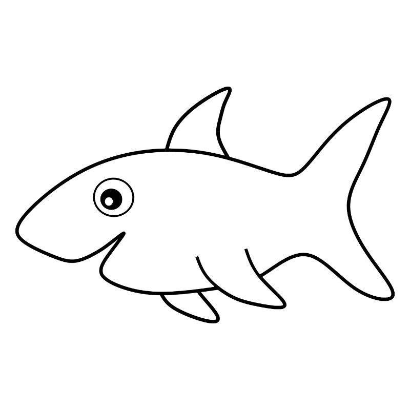Requin Requins Pêche Poisson