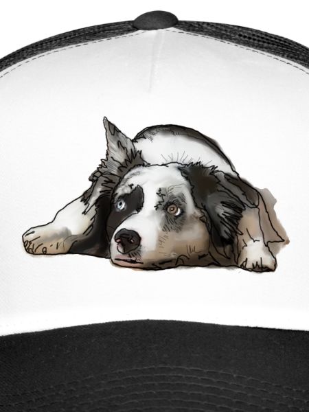Australian Shepherd