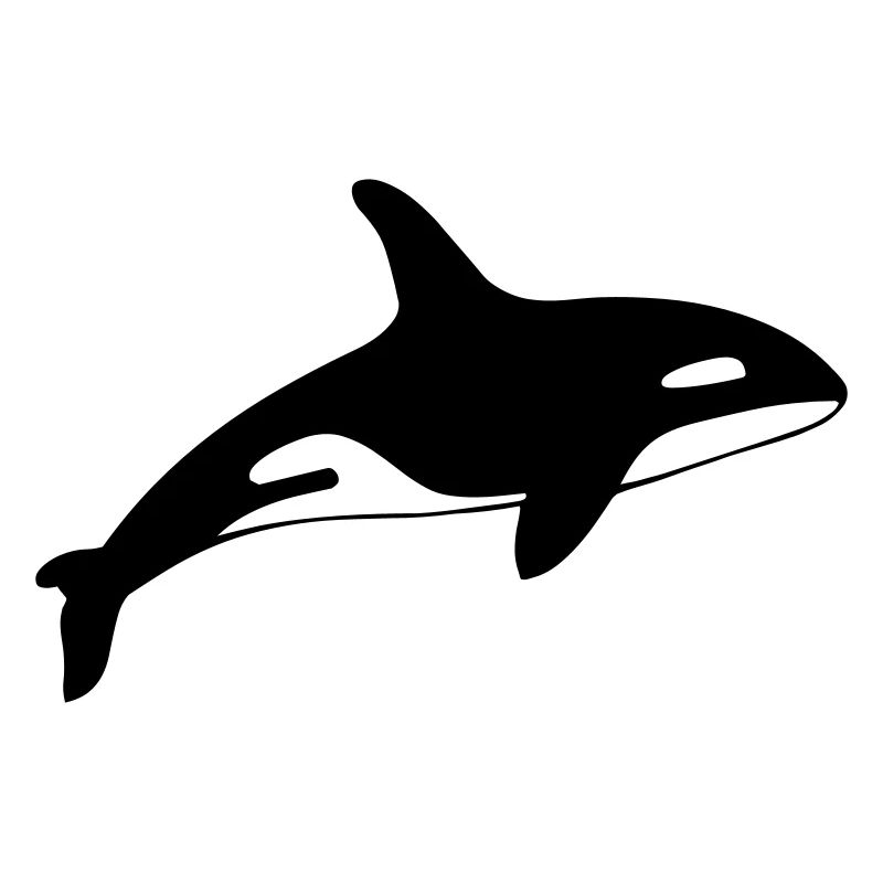 dolphin