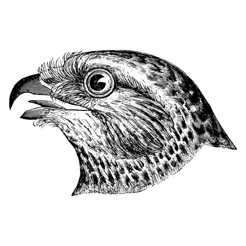 Die Düse
