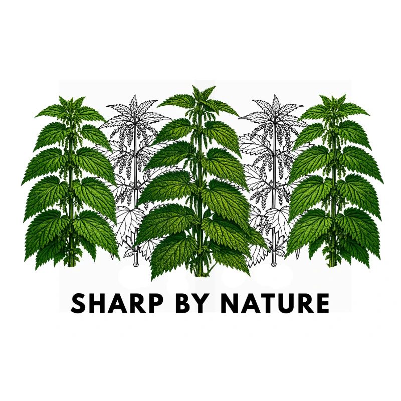 Stinging nettle is sharp by nature