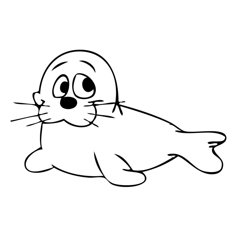 Seehund