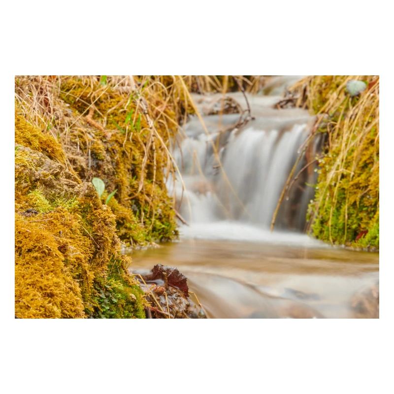 Talking water 1