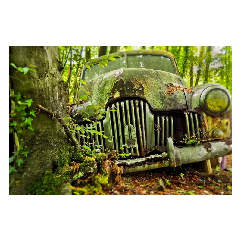 Waldverfall: Rostige Autoüberreste