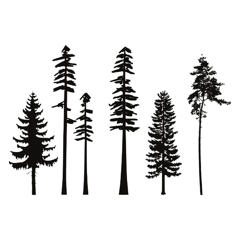 pine tree