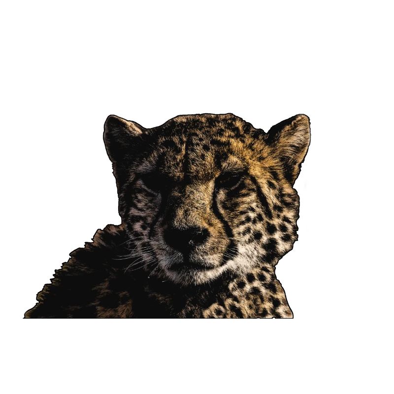GUÉPARD