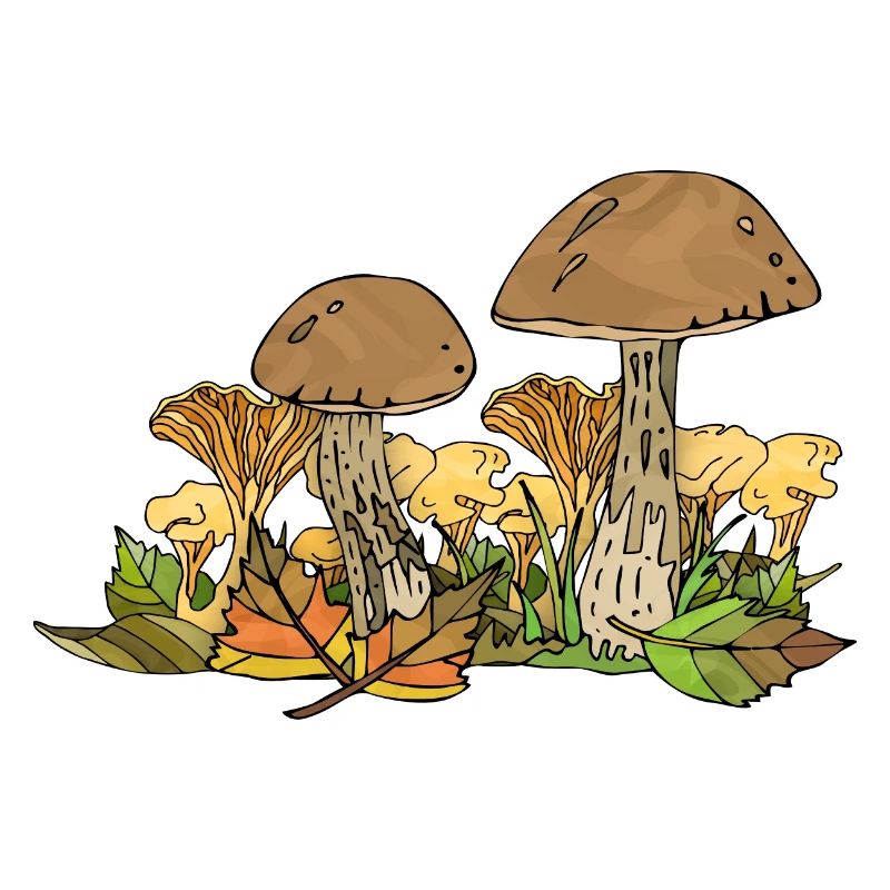 Pilze