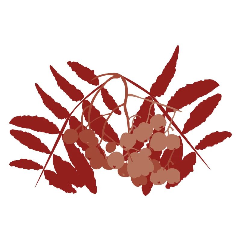 Abstract rowan berry