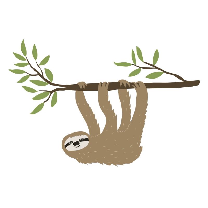 Sloth hanging around