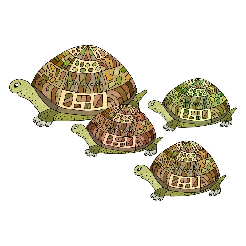 Turtles