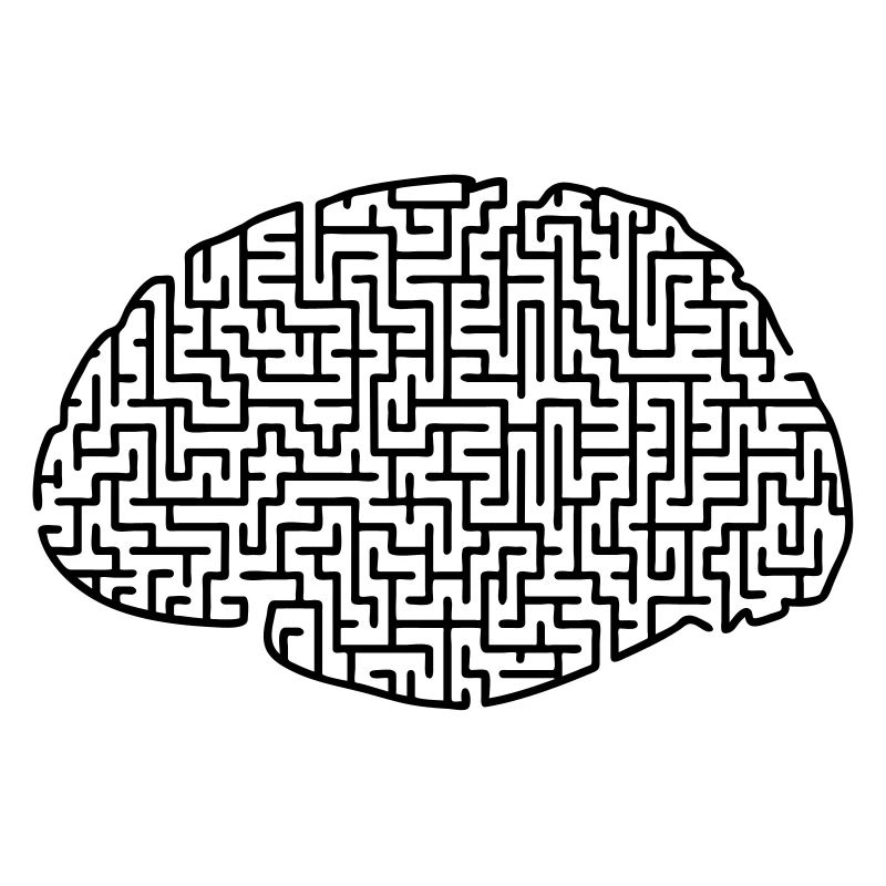 Brain