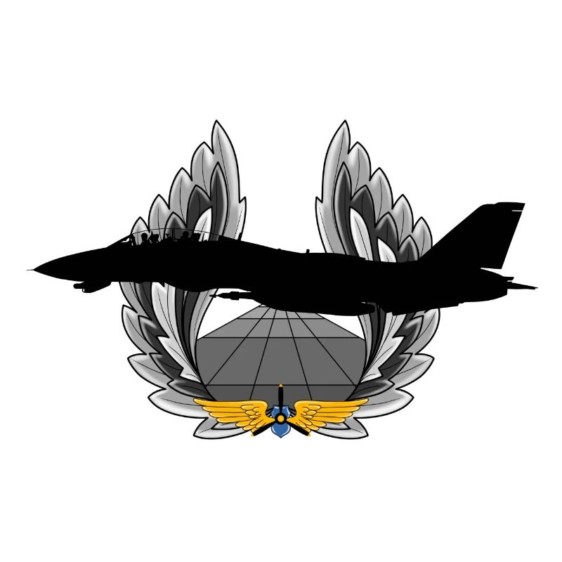 F-14 Tomcat
