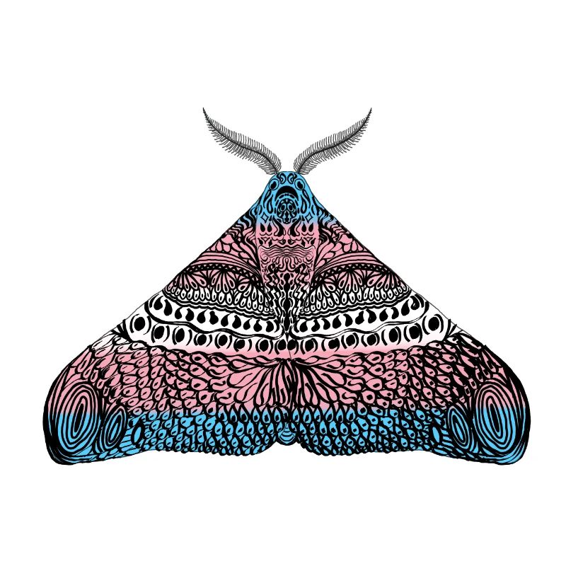 Transgender pride moth