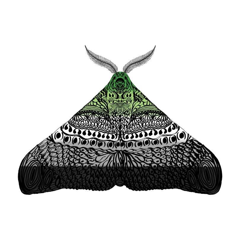 Aromantic pride moth