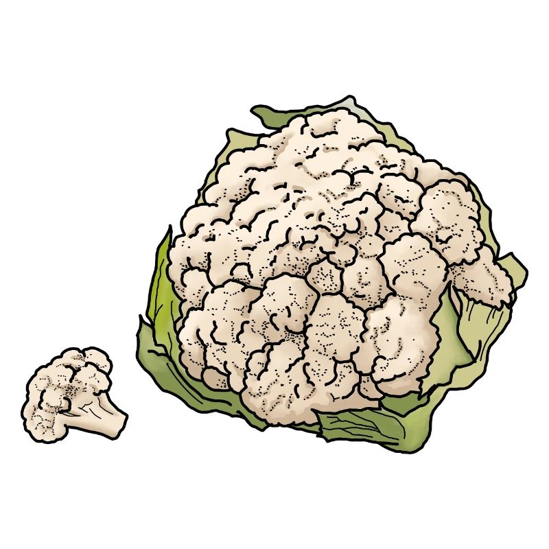 Blumenkohl