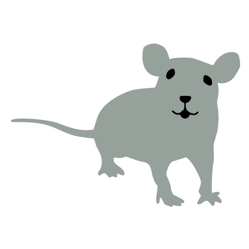 Rat