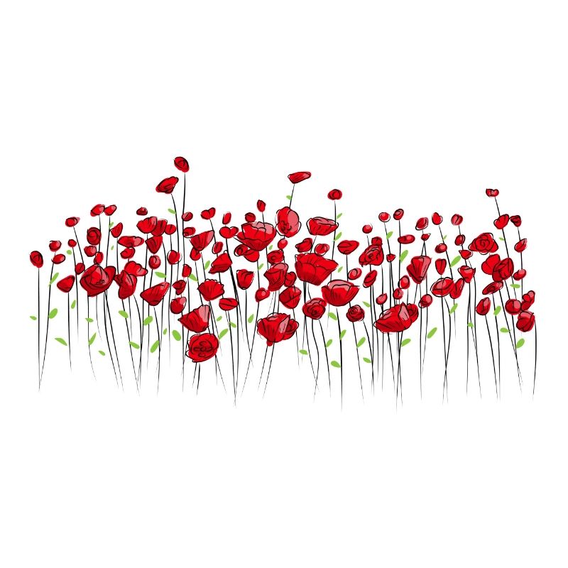 Klatschmohn Mohn Blumen